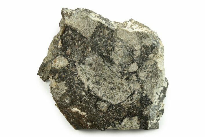 Polished Eucrite Meteorite ( g) Slice - Africa #247014
